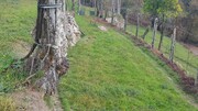 Terreno R�stico - Ribeira, Terras de Bouro, Braga - Miniatura: 8/9