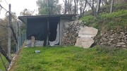 Terreno R�stico - Ribeira, Terras de Bouro, Braga - Miniatura: 9/9