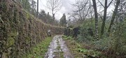Terreno R�stico - Valdosende, Terras de Bouro, Braga - Miniatura: 1/9
