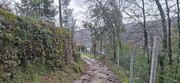 Terreno R�stico - Valdosende, Terras de Bouro, Braga - Miniatura: 3/9