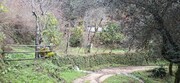 Terreno R�stico - Valdosende, Terras de Bouro, Braga - Miniatura: 4/9