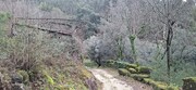 Terreno R�stico - Valdosende, Terras de Bouro, Braga - Miniatura: 5/9