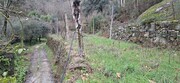 Terreno R�stico - Valdosende, Terras de Bouro, Braga - Miniatura: 6/9