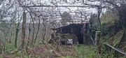 Terreno R�stico - Valdosende, Terras de Bouro, Braga - Miniatura: 9/9
