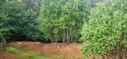 Terreno R�stico - Cani�ada, Vieira do Minho, Braga - Miniatura: 3/9