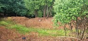 Terreno R�stico - Cani�ada, Vieira do Minho, Braga - Miniatura: 5/9
