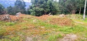 Terreno R�stico - Cani�ada, Vieira do Minho, Braga - Miniatura: 6/9