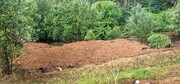 Terreno R�stico - Cani�ada, Vieira do Minho, Braga - Miniatura: 8/9