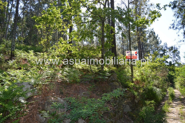 Terreno R�stico - Caires, Amares, Braga - Imagem grande