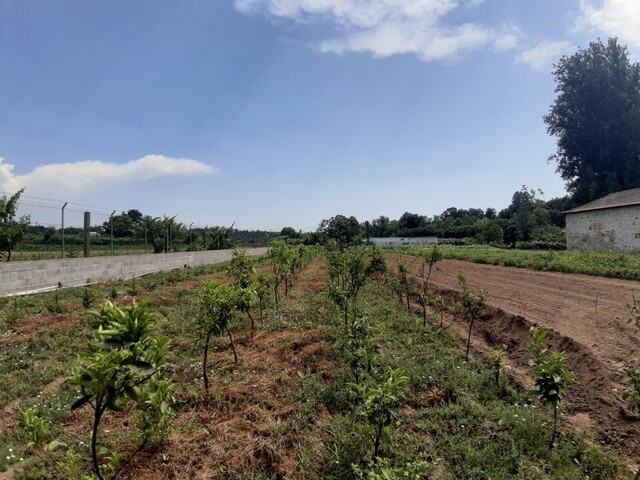 Terreno R�stico - Rendufe, Amares, Braga - Imagem grande