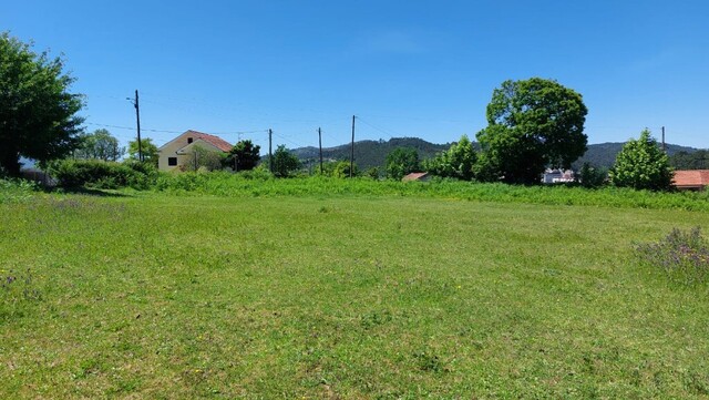 Terreno R�stico - Cantel�es, Vieira do Minho, Braga - Imagem grande