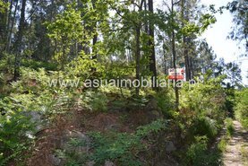 Terreno R�stico - Caires, Amares, Braga