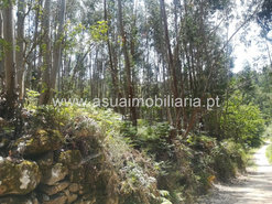 Terreno R�stico - Caldelas, Amares, Braga
