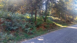 Terreno R�stico - Fiscal, Amares, Braga