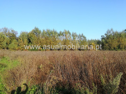 Terreno R�stico - Ferreiros, Amares, Braga