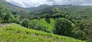 Terreno R�stico - Ruiv�es, Vieira do Minho, Braga