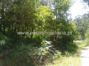 Terreno Rstico - Caldelas, Amares, Braga - Miniatura: 1/6