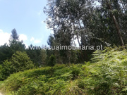 Terreno Rstico - Caldelas, Amares, Braga - Miniatura: 4/6