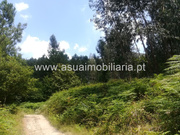 Terreno Rstico - Caldelas, Amares, Braga - Miniatura: 5/6