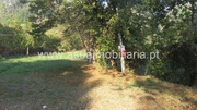 Terreno R�stico - Go�es, Amares, Braga - Miniatura: 1/8