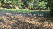 Terreno R�stico - Go�es, Amares, Braga - Miniatura: 3/8