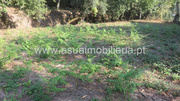 Terreno R�stico - Go�es, Amares, Braga - Miniatura: 4/8