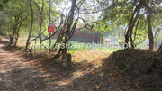 Terreno R�stico - Go�es, Amares, Braga - Miniatura: 6/8