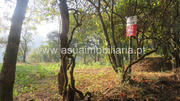 Terreno R�stico - Go�es, Amares, Braga - Miniatura: 7/8