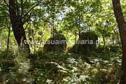 Terreno R�stico - Caires, Amares, Braga - Miniatura: 2/4