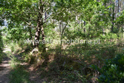 Terreno R�stico - Caires, Amares, Braga - Miniatura: 3/4