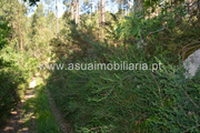 Terreno R�stico - Caires, Amares, Braga - Miniatura: 4/4