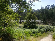 Terreno R�stico - Caldelas, Amares, Braga - Miniatura: 2/6