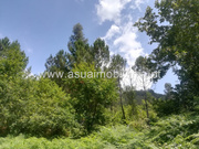 Terreno R�stico - Caldelas, Amares, Braga - Miniatura: 3/6