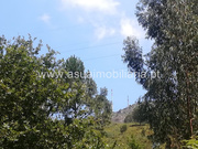 Terreno R�stico - Caldelas, Amares, Braga - Miniatura: 6/6