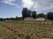 Terreno R�stico - Rendufe, Amares, Braga - Miniatura: 3/9
