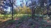 Terreno R�stico - Fiscal, Amares, Braga - Miniatura: 6/8
