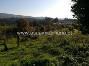 Terreno R�stico - Ferreiros, Amares, Braga - Miniatura: 4/6
