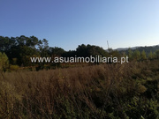 Terreno R�stico - Ferreiros, Amares, Braga - Miniatura: 6/6