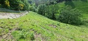 Terreno R�stico - Ruiv�es, Vieira do Minho, Braga - Miniatura: 9/9