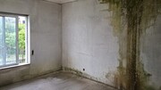 Terreno R�stico - Moimenta (Santo Andr�), Terras de Bouro, Braga - Miniatura: 8/9