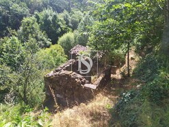 Quinta T4 - Refojos de Basto, Cabeceiras de Basto, Braga - Miniatura: 7/20