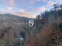 Quinta T4 - Refojos de Basto, Cabeceiras de Basto, Braga - Miniatura: 13/20