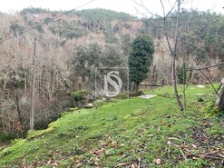 Quinta T4 - Refojos de Basto, Cabeceiras de Basto, Braga - Miniatura: 15/20