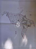 Terreno Rstico T0 - Arnoia, Celorico de Basto, Braga - Miniatura: 4/7
