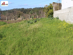 Terreno R�stico - Soure, Soure, Coimbra