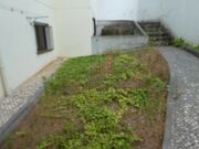 Apartamento T1 - S Nova, Coimbra, Coimbra - Miniatura: 4/9