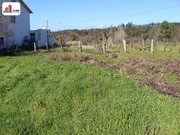 Terreno R�stico - Soure, Soure, Coimbra - Miniatura: 2/4