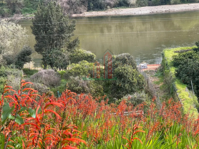 Terreno R�stico - Torres do Mondego, Coimbra, Coimbra - Imagem grande