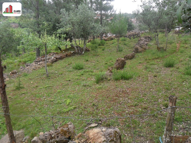Terreno R�stico - Assafarge, Coimbra, Coimbra - Imagem grande