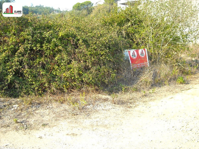 Terreno R�stico - Assafarge, Coimbra, Coimbra - Imagem grande